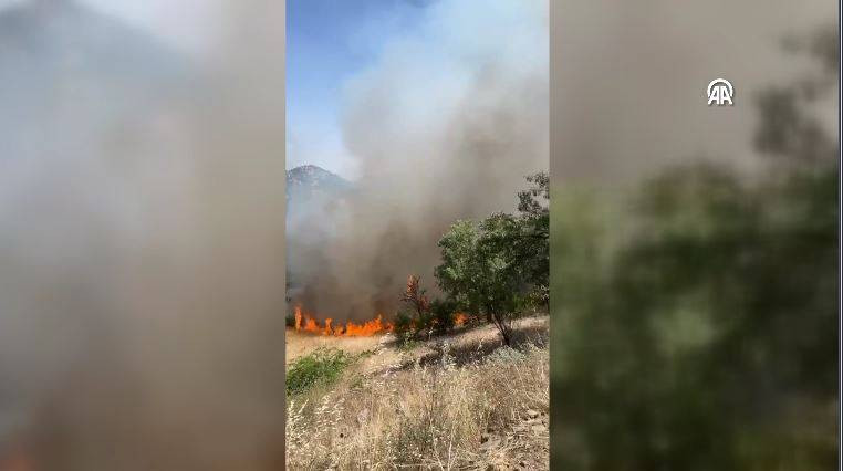 Bingöl'deki orman yangını söndürüldü - Resim: 13
